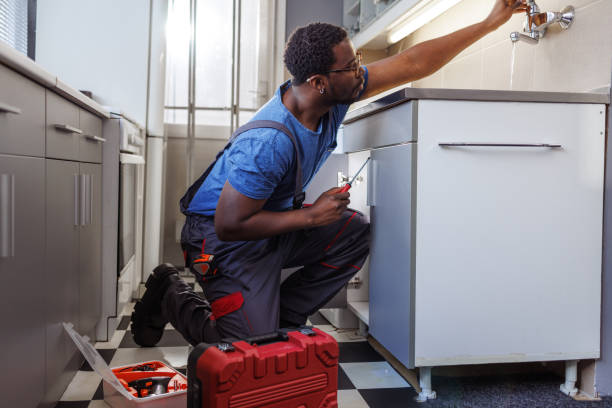 Best Affordable Plumber Near Me  in Zapata, TX