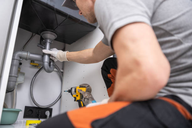 Best Local Plumber Services  in Zapata, TX