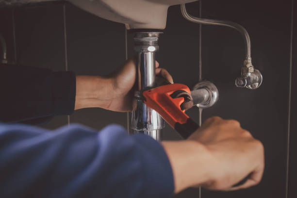 Best Commercial Plumbing Services  in Zapata, TX